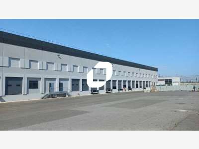 A louer Local d'activité 8018m² Lisses