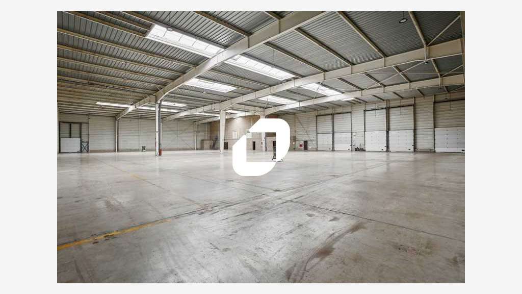 A louer Local d'activité 4542m² Lisses