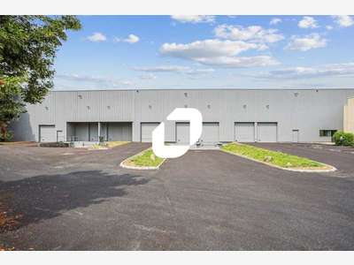 A louer Local d'activité 4542m² Lisses