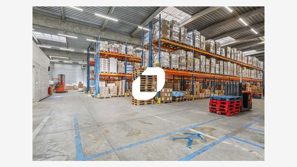 A louer Local d'activité 3167m² Lisses