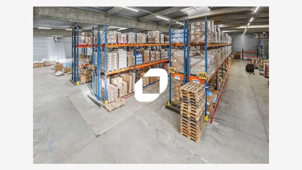 A louer Local d'activité 3167m² Lisses