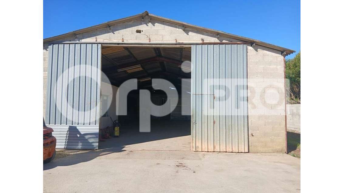 A louer local d'activité/stockage 250m² sur Lunel