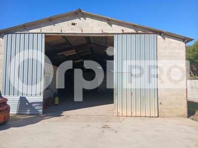 Location Locaux d'activités - Entrepôts à Lunel-Viel