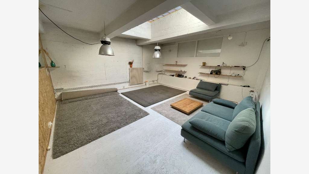 Loue entrepôt 470m² à Lyon rue de la Quarantaine