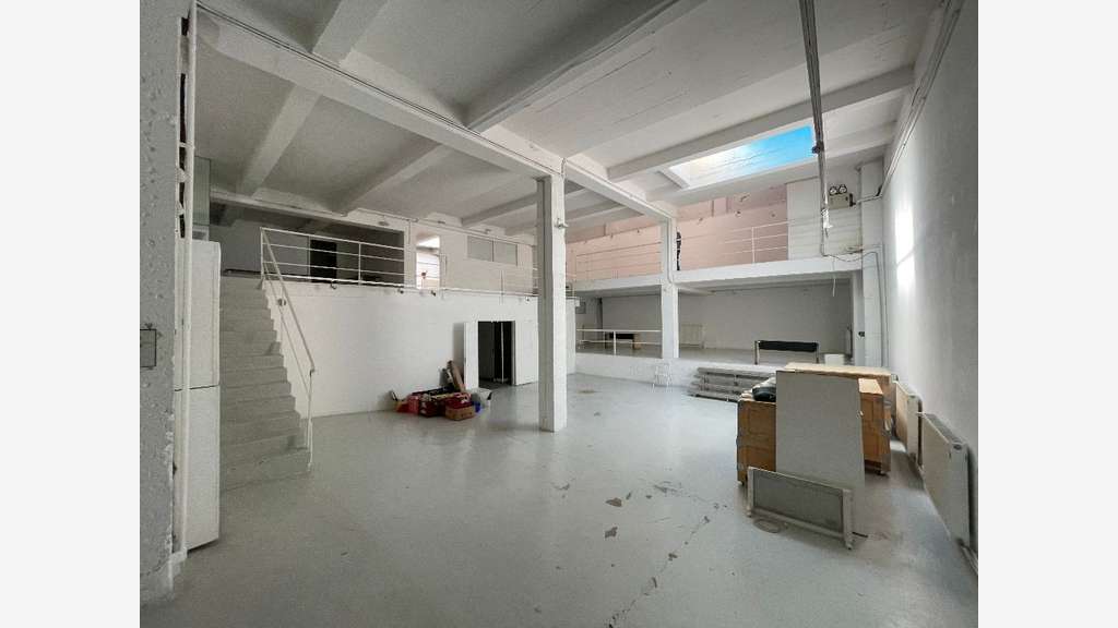 Loue entrepôt 470m² à Lyon rue de la Quarantaine