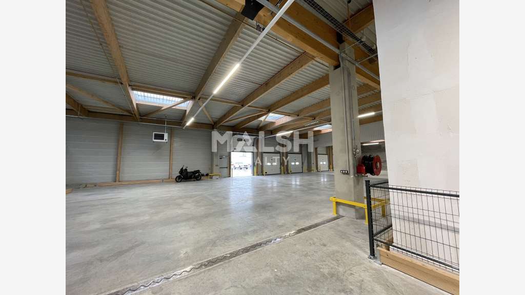 Cellules logistiques 9851m² à louer à Lyon 7eme