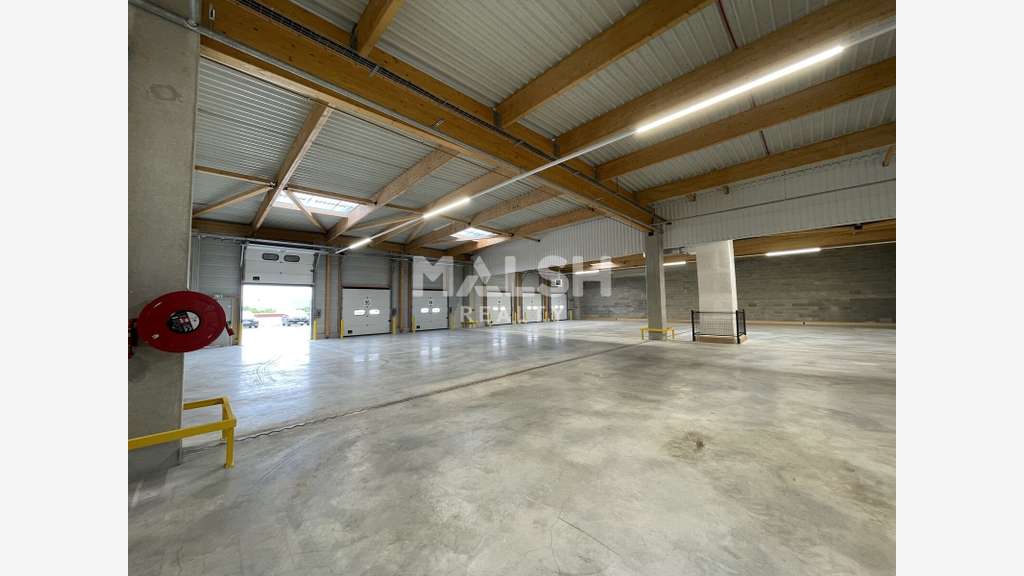 Cellules logistiques 9851m² à louer à Lyon 7eme