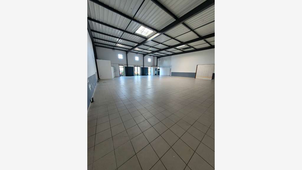 A louer local d'activité 364m² à Lyon 7e