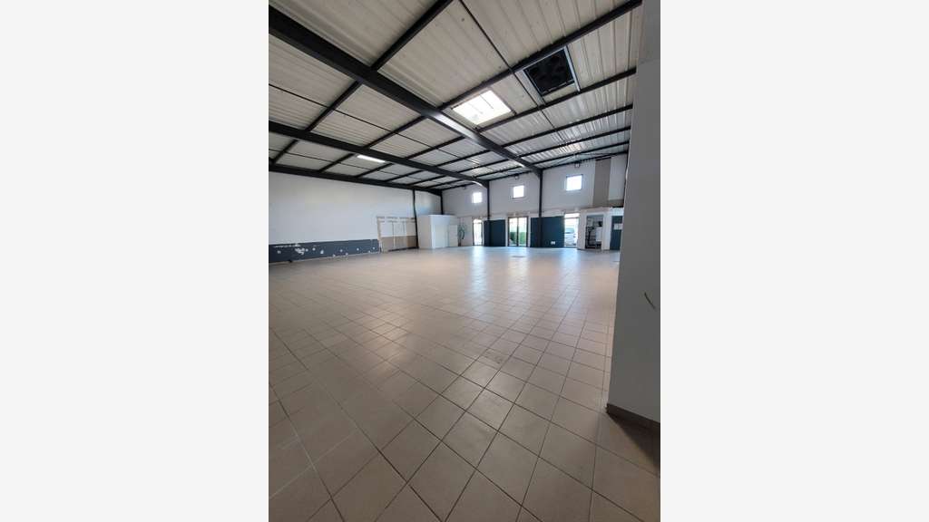 A louer local d'activité 364m² à Lyon 7e