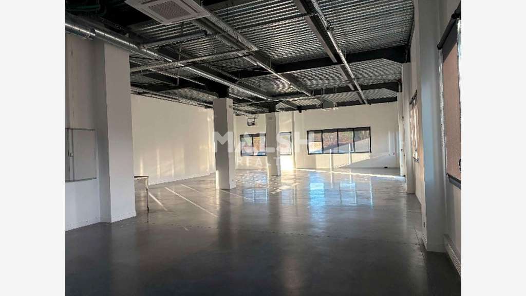 Local 207m² bureaux et activités Lyon 7e Gerland