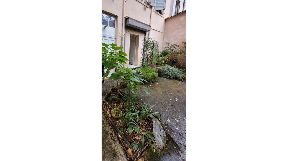 A louer local avec jardin à Lyon 7e Guillotière 