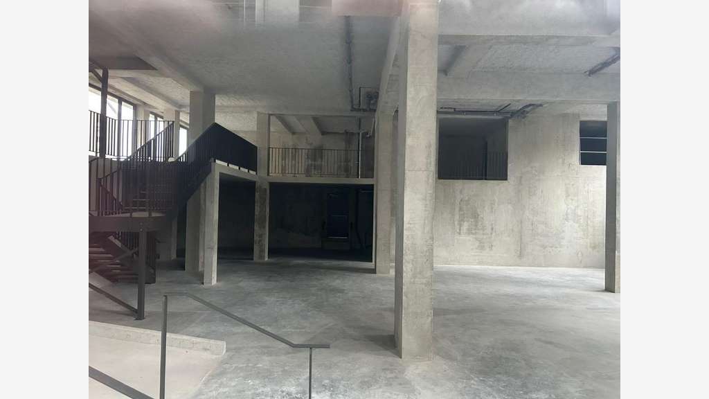 A louer local brut de béton 358m² à Lyon 7e
