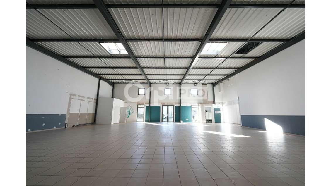 LOCAL D'ACTIVITE A LOUER - 364 m² - LYON 7