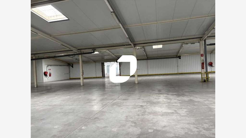 A louer Local d'activité 7907m² Lys lez lannoy