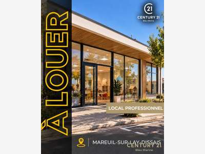 Immobilier Professionnel à louer
