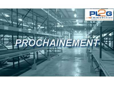 Location Locaux d'activités - Entrepôts à Marseille