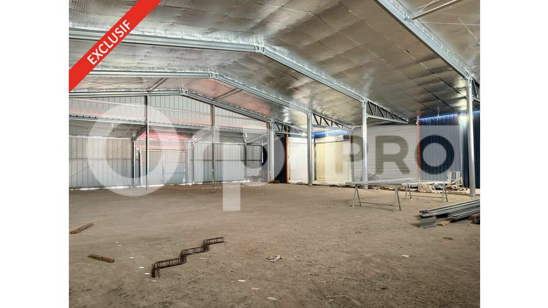 Local 980m² à louer zone industrielle Matoury