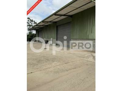 Location Locaux d'activités - Entrepôts à Matoury