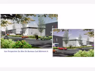 À louer – 8 cellules de 12 000 m² dans un site log