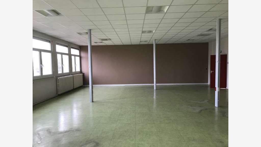 Plateaux d'activité 2916m² à louer à Migennes (89)