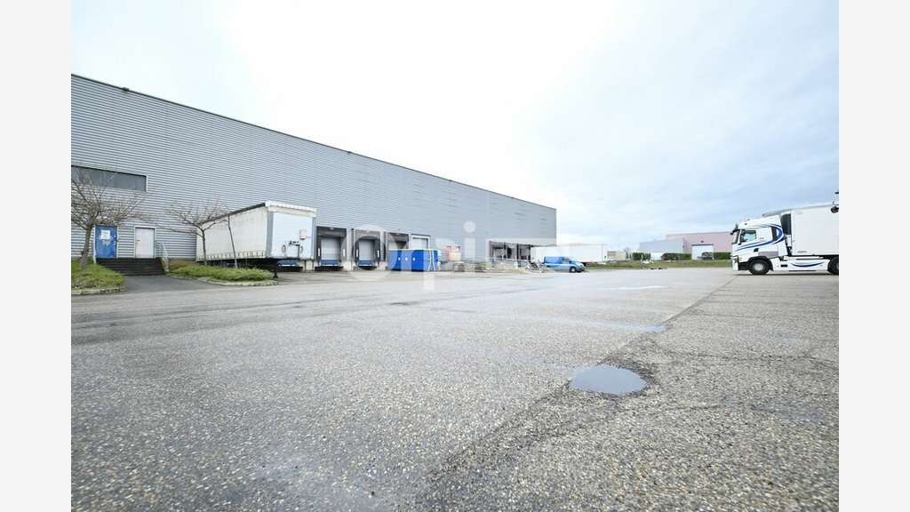 A louer entrepôt logistique 5391m² à Mions