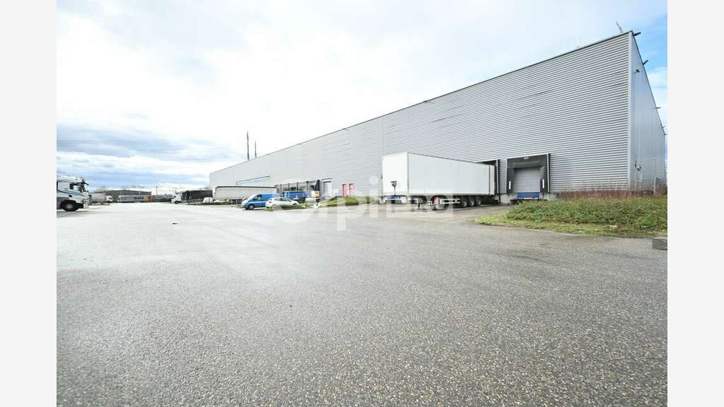 A louer entrepôt logistique 5391m² à Mions