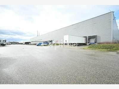 A louer entrepôt logistique 5391m² à Mions