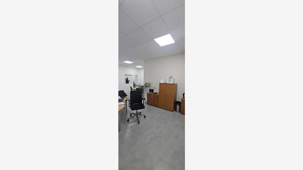 Immobilier Professionnel à louer