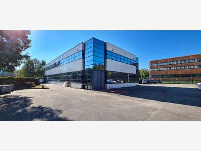 Immobilier Professionnel à louer