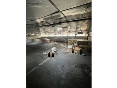 Location Locaux d'activités - Entrepôts à Muret