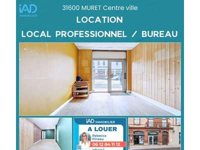 Location Locaux d'activités - Entrepôts à Muret