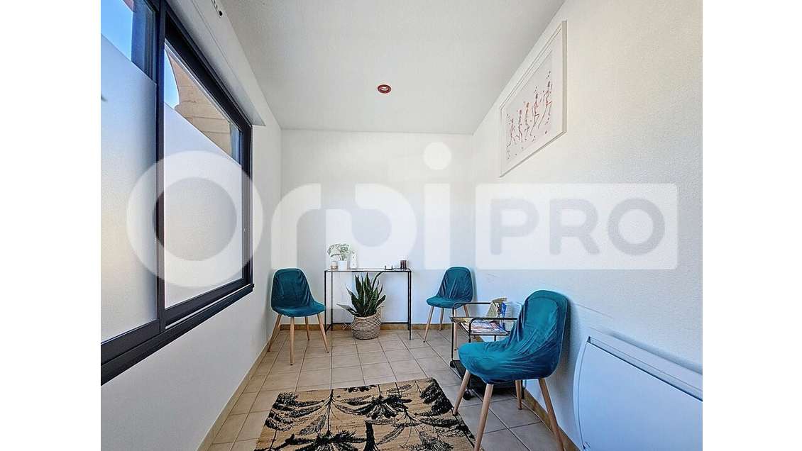LOCAL PROFESSIONNEL A MUS