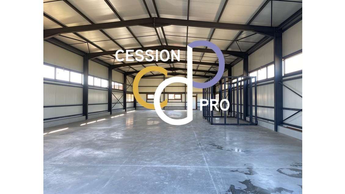 LOCAUX D'ACTIVITÉ / HANGAR NEUFS DE 366 M² ET A