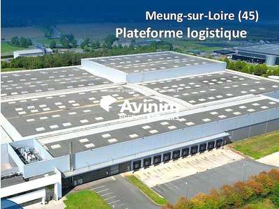 Location Locaux d'activités - Entrepôts à Orléans