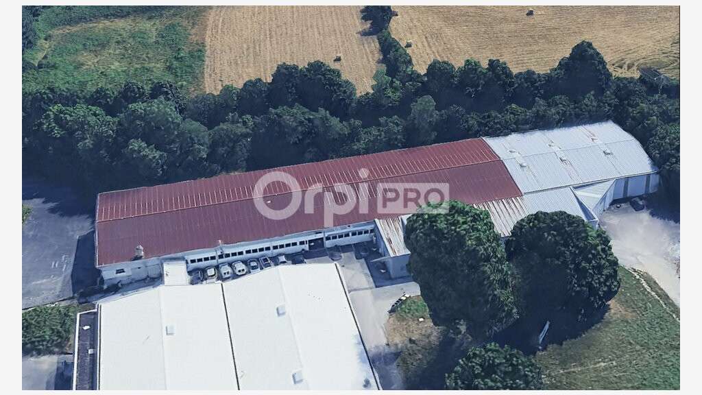 A louer - Local d'activité 718 m²
