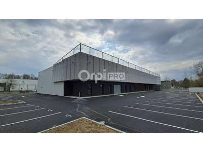 Location Locaux d'activités - Entrepôts à Pau