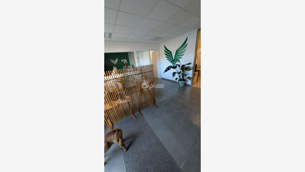 Local d'activité de 705m² à louer à Pau Nord