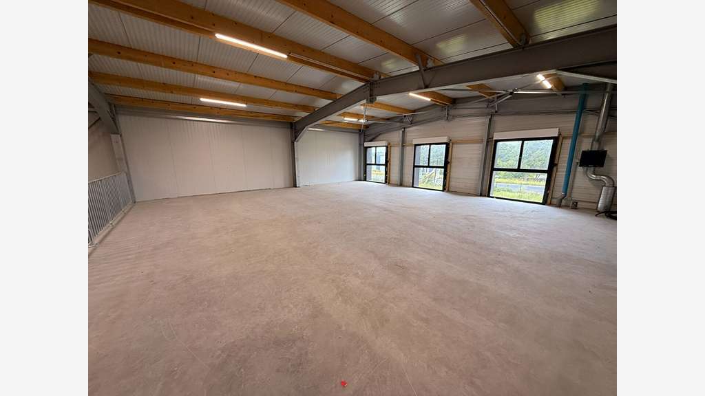 Local d'activité Pleudaniel 320 m2