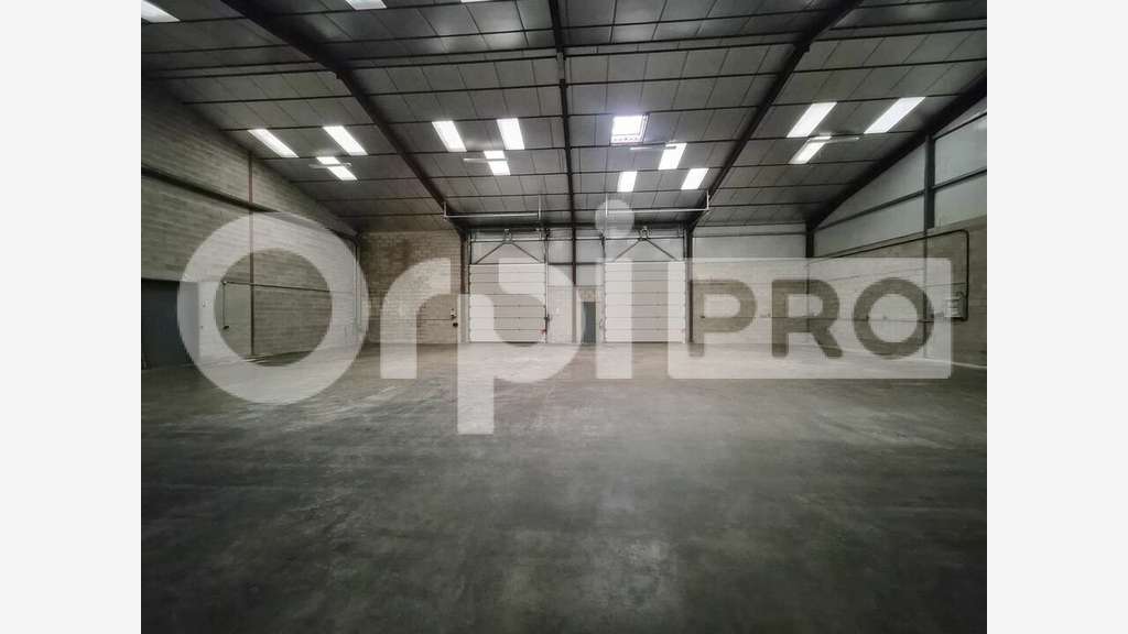 Local d'activité 1280m² à louer à Reims