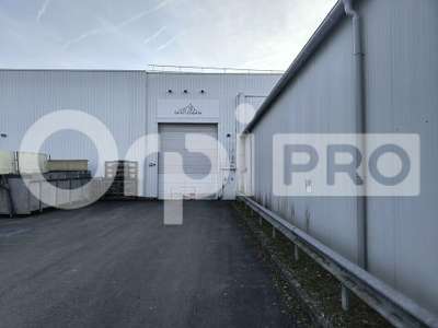 Location Locaux d'activités - Entrepôts à Reims