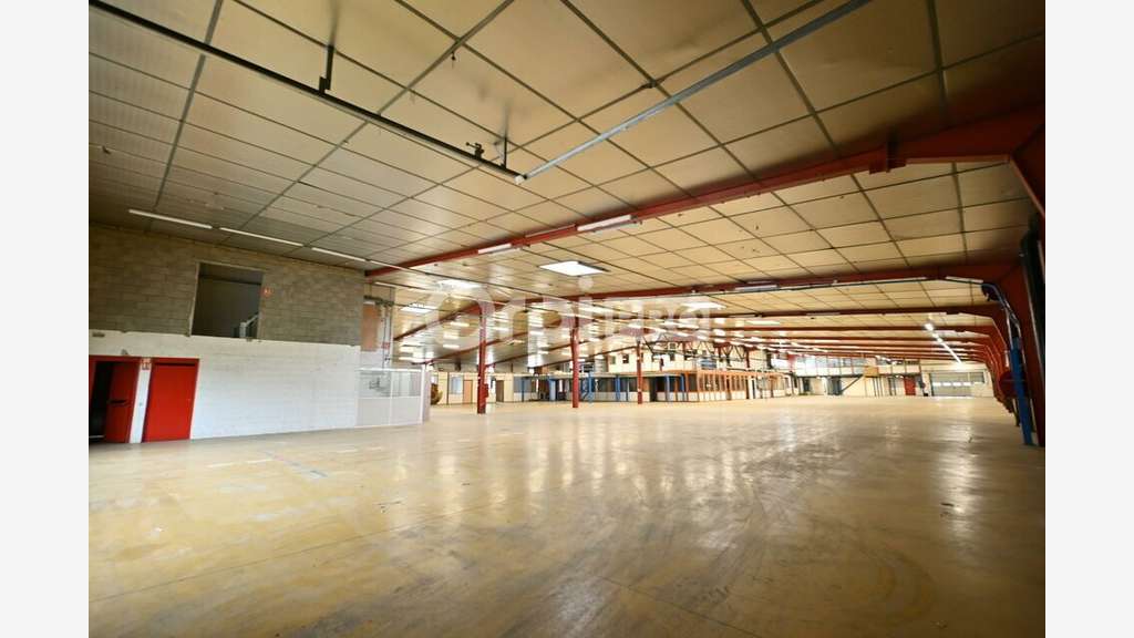 A louer local d'activité 3200m² à Rillieux-la-Pape