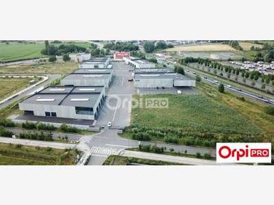 Entrepôt et bureaux agencés à louer ZA Roncq