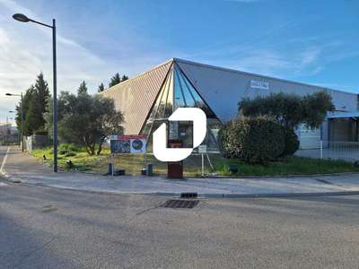 Location Locaux d'activités - Entrepôts à Saint-André-de-Sangonis