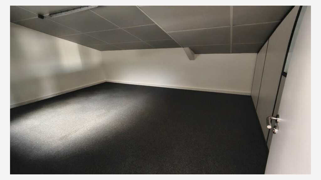 Local 565m² avec showroom à louer à Saint-Baldoph