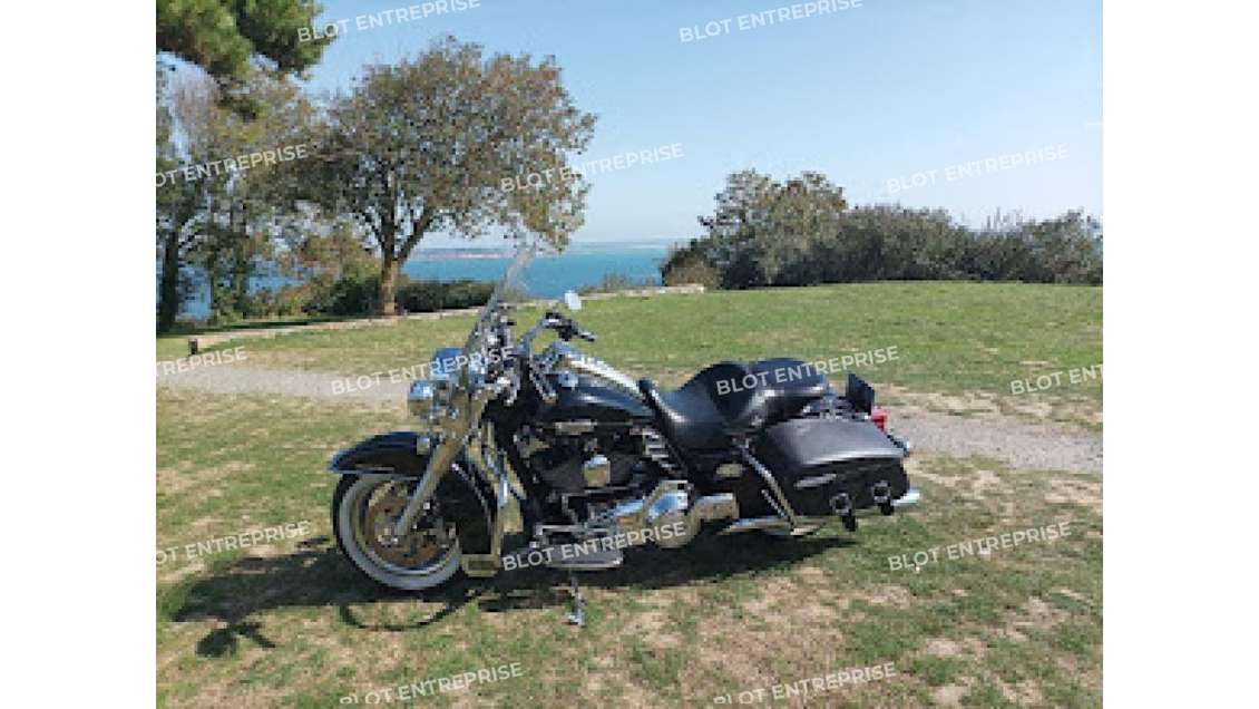 À LOUER - CELLULES D'ACTIVITES DES 492 M² - S