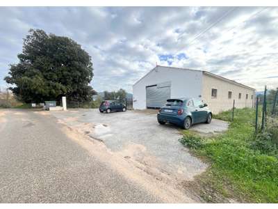 Location Locaux d'activités - Entrepôts à Saint-Cyr-sur-Mer