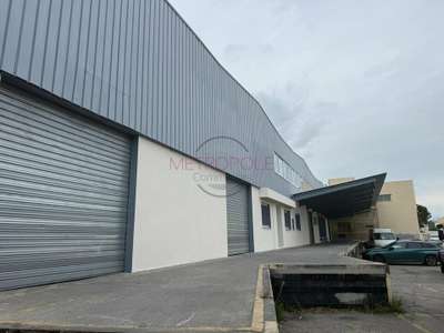 Location Locaux d'activités - Entrepôts à Saint-Laurent-du-Var