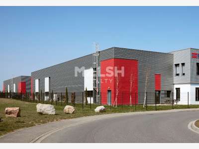 Location local d'activités 598m² Saint-Priest A46