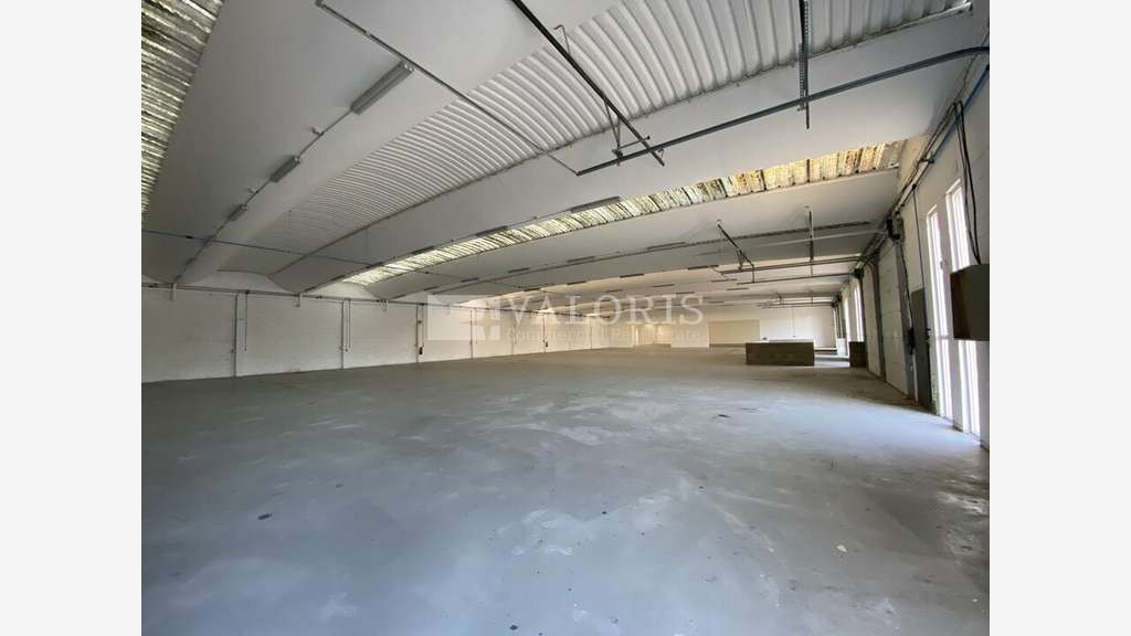 Local 206m² à louer à Saint Priest A43
