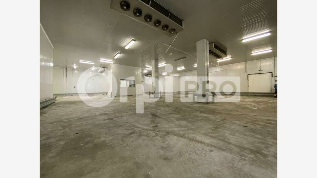 Loue bâtiment de 1040m² Saint Symphorien d'Ozon